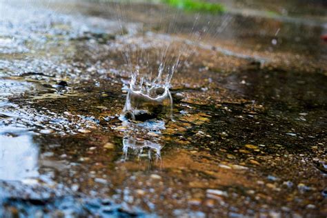 雨圖片|超过 100000 张关于“下雨”和“雨”的免费图片